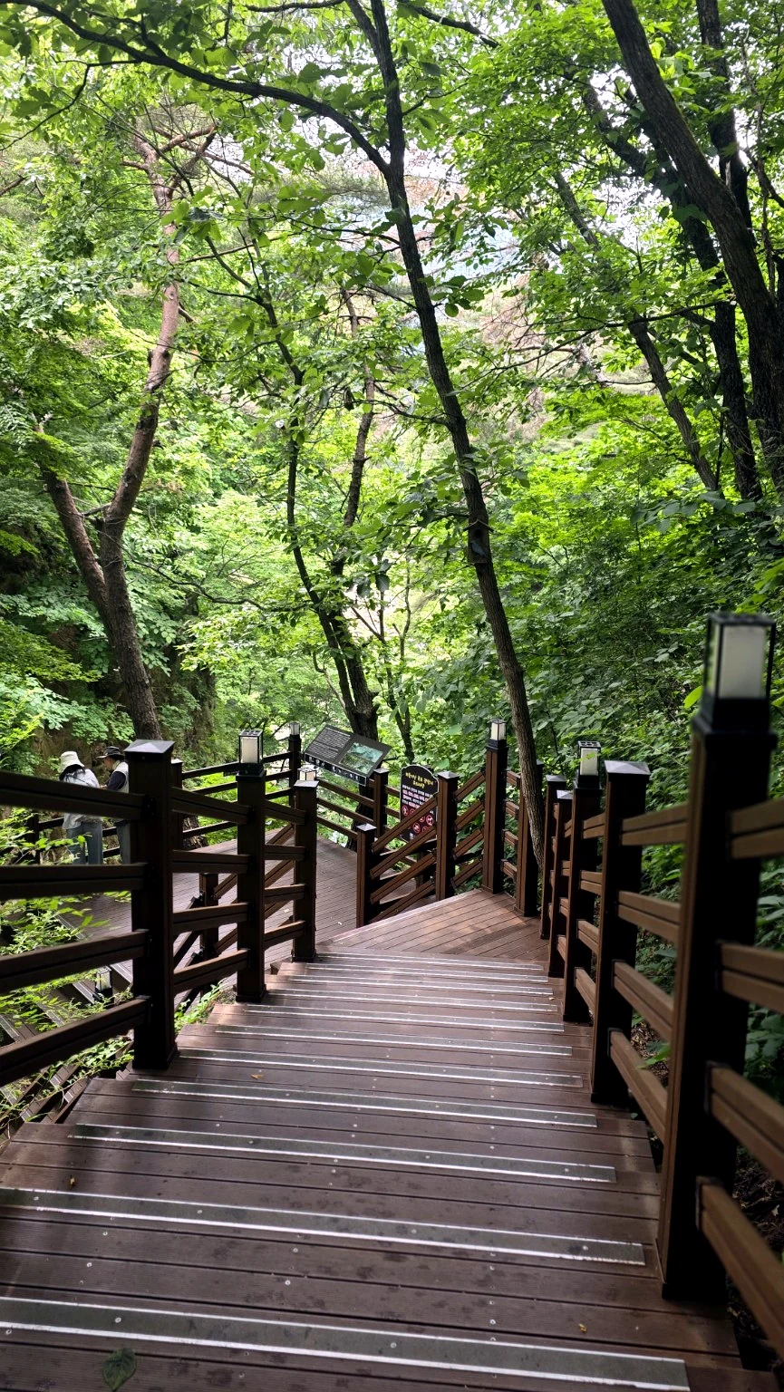Hantangang Sky Bridge forest deck trail follows the wet mountainside beyond the crossing.
